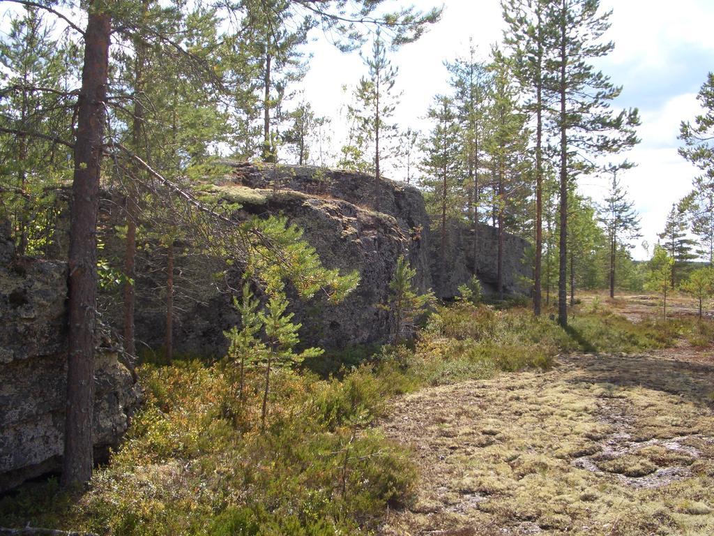 Kalliomajat Ylivalli Экстерьер фото